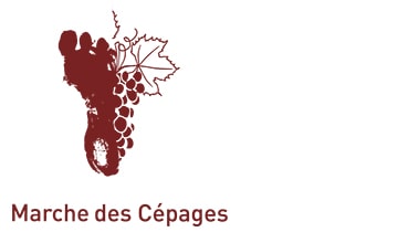 cave goubing boutique vente vin vinothèque ligne sion sierre valais suisse